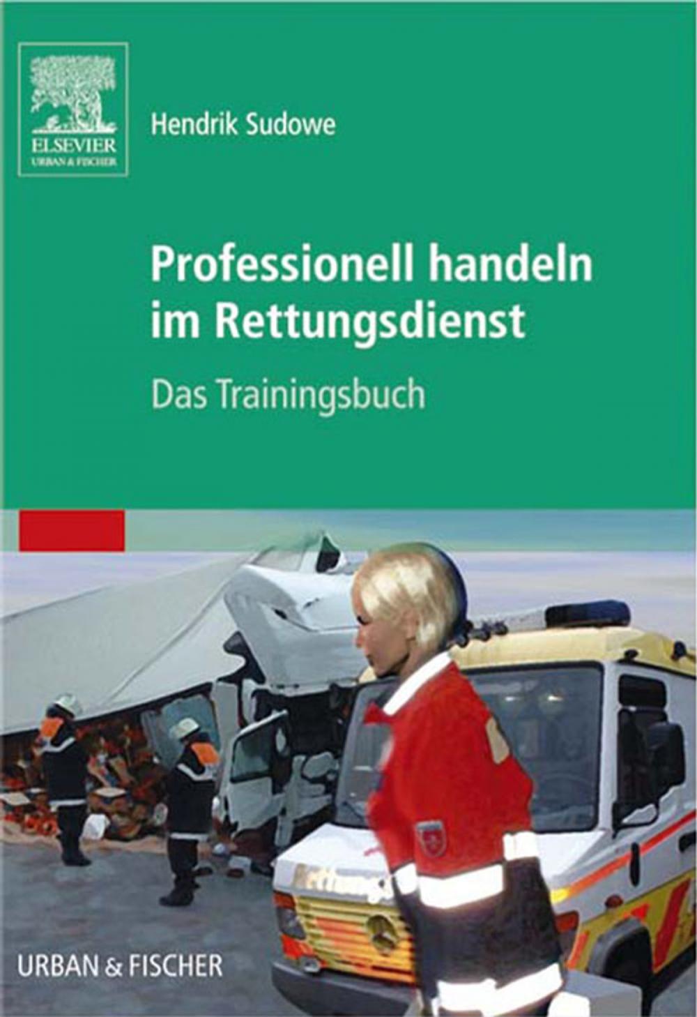 Big bigCover of Professionell handeln im Rettungsdienst