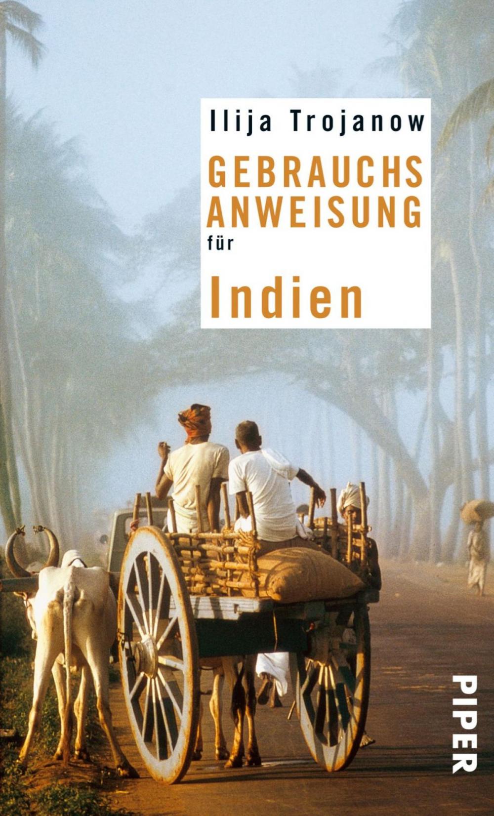 Big bigCover of Gebrauchsanweisung für Indien