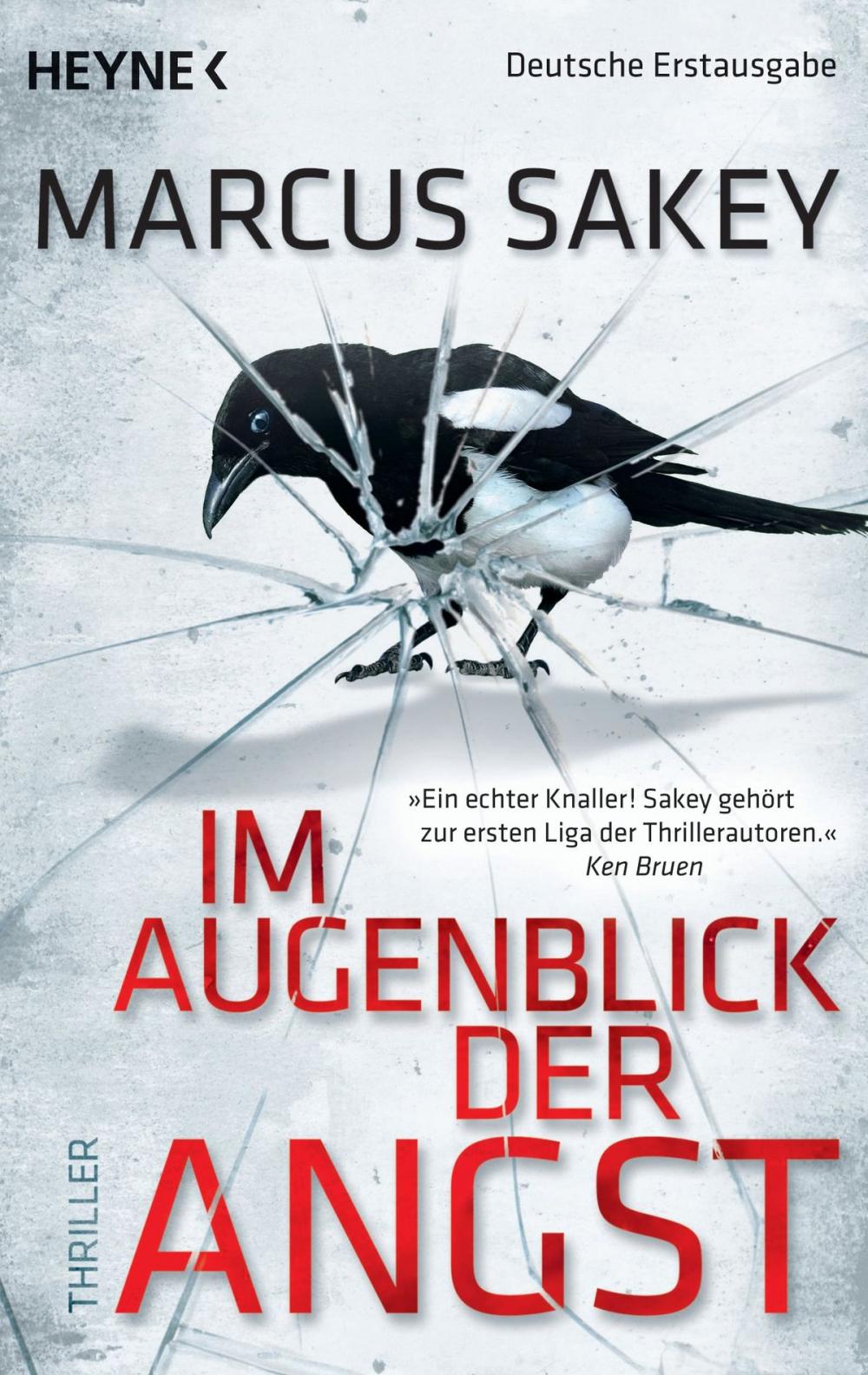 Big bigCover of Im Augenblick der Angst