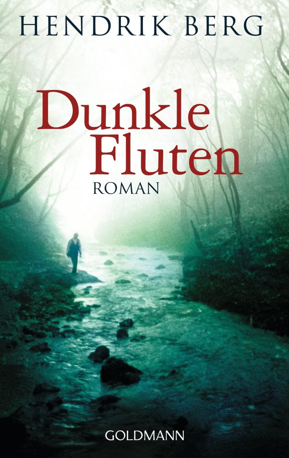 Big bigCover of Dunkle Fluten