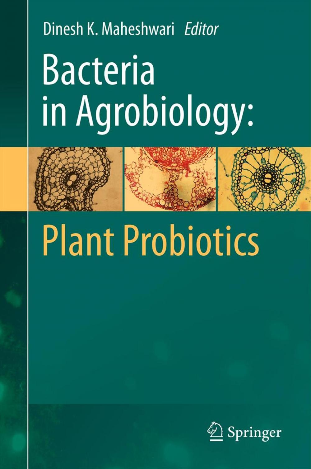 Big bigCover of Bacteria in Agrobiology: Plant Probiotics