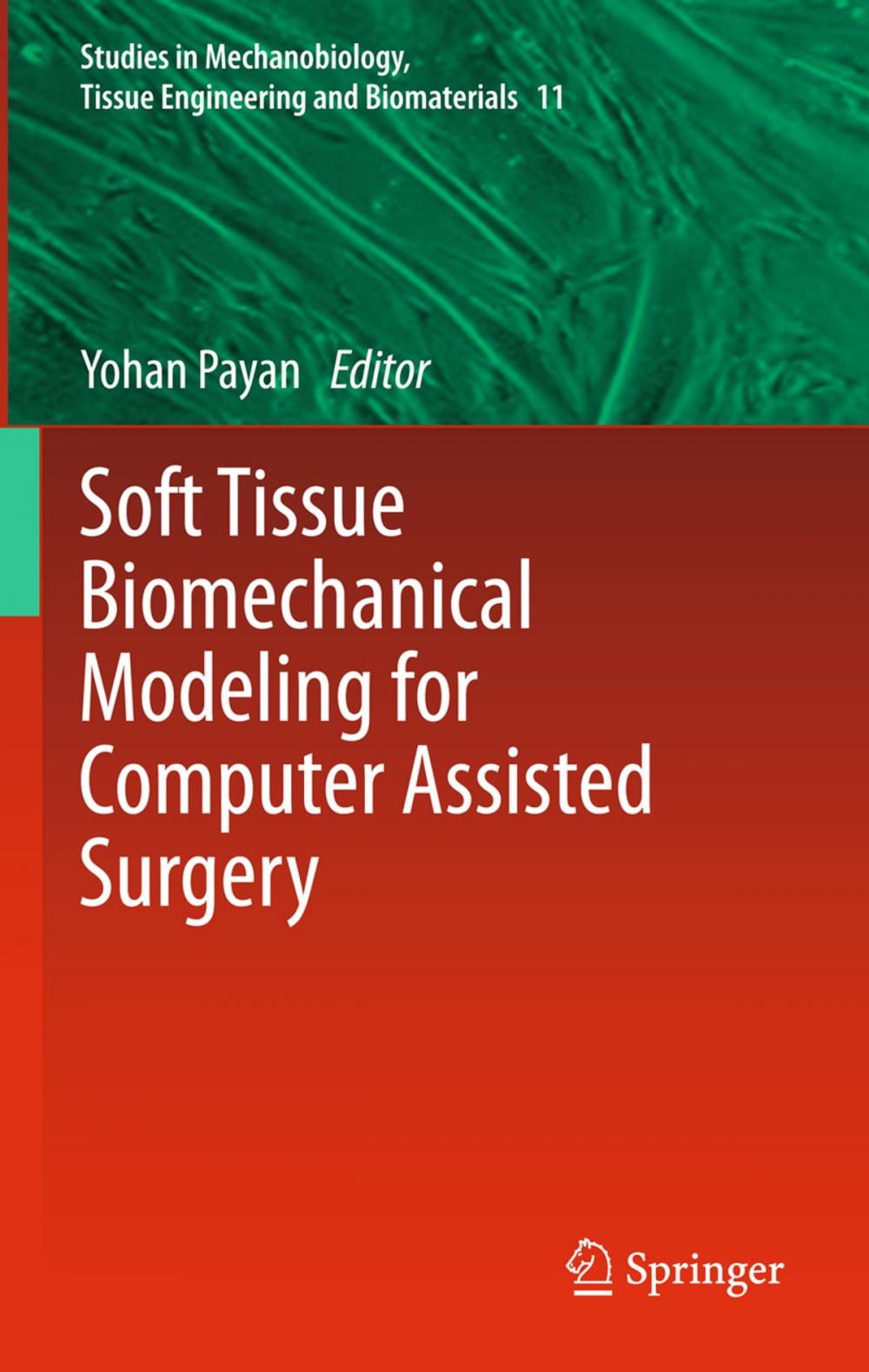 Big bigCover of Soft Tissue Biomechanical Modeling for Computer Assisted Surgery