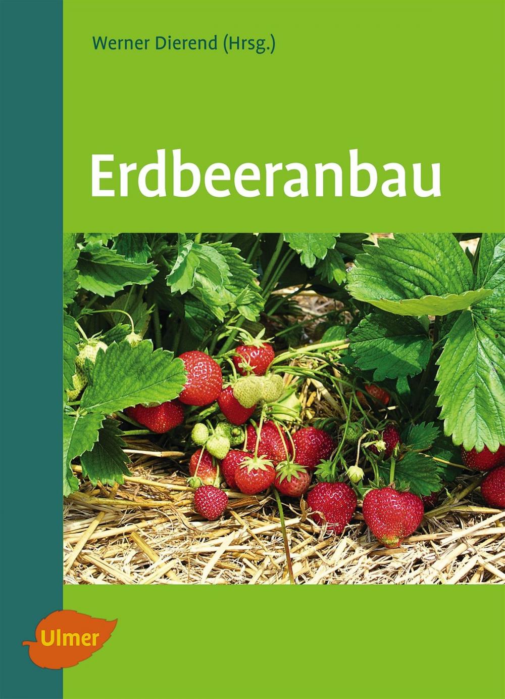 Big bigCover of Erdbeeranbau