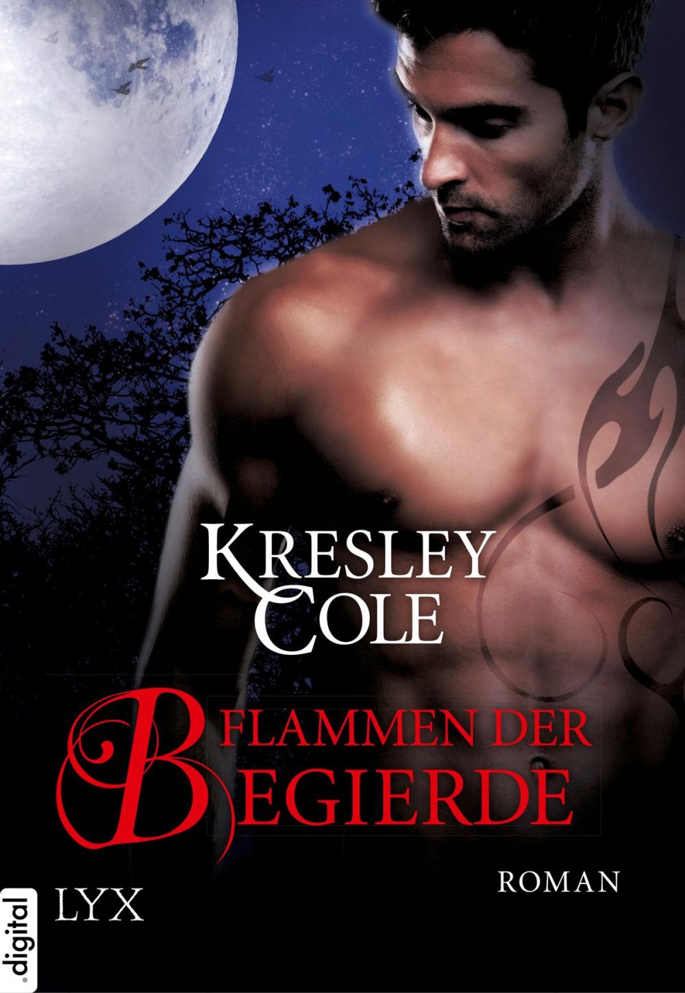 Big bigCover of Flammen der Begierde