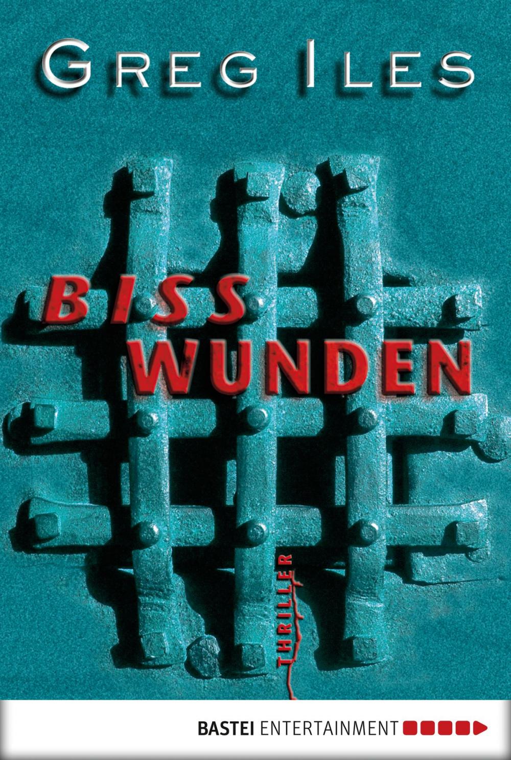 Big bigCover of Bisswunden