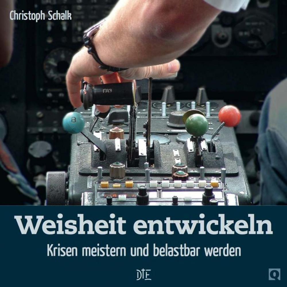 Big bigCover of Weisheit entwickeln