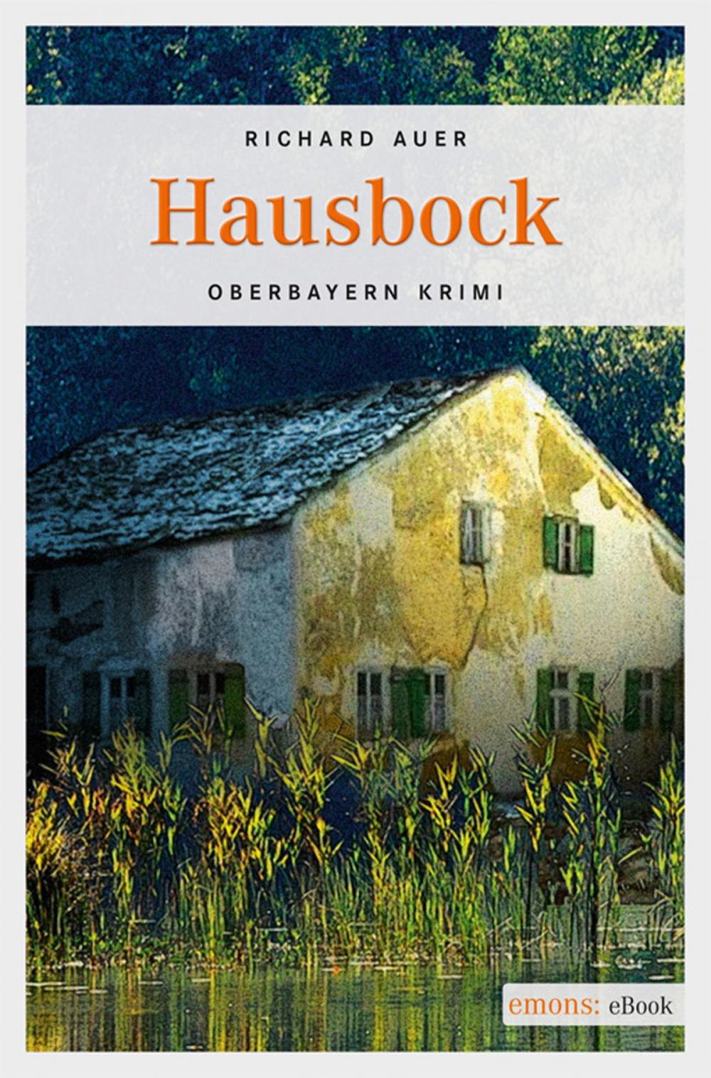 Big bigCover of Hausbock