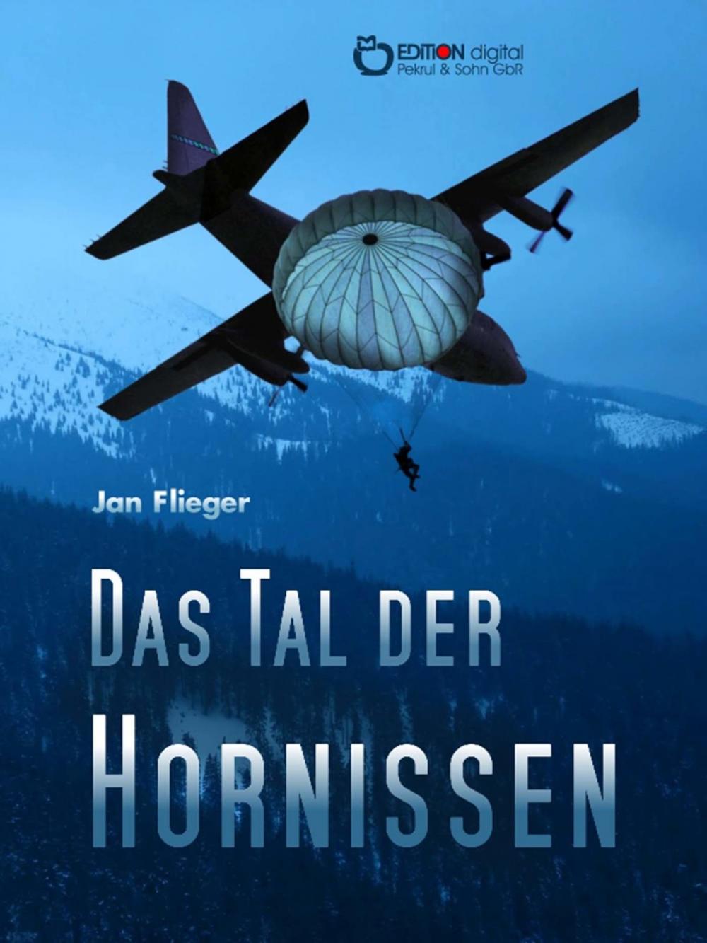 Big bigCover of Das Tal der Hornissen