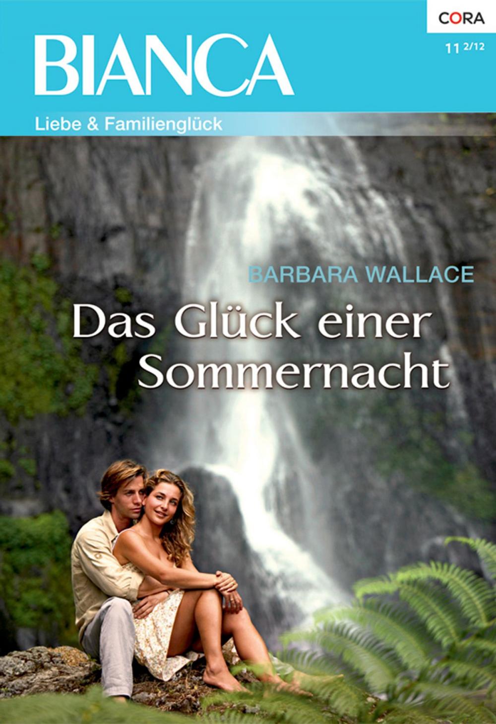 Big bigCover of Das Glück einer Sommernacht