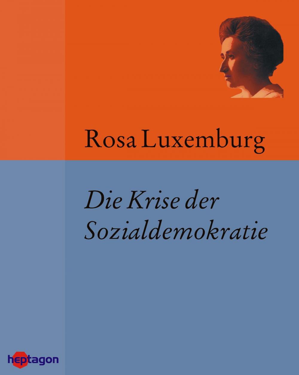 Big bigCover of Die Krise der Sozialdemokratie (Junius-Broschüre)