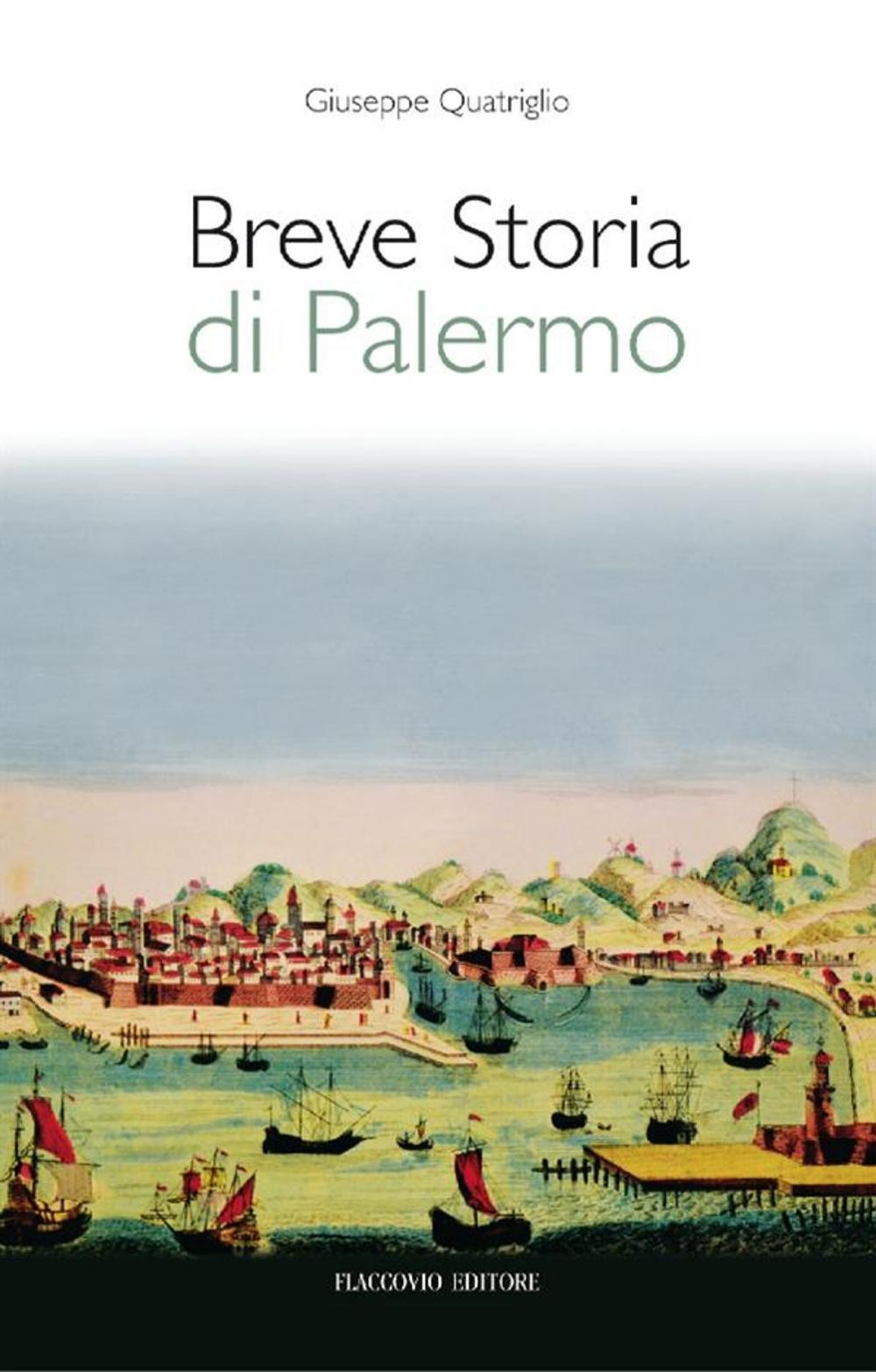 Big bigCover of Breve storia di Palermo