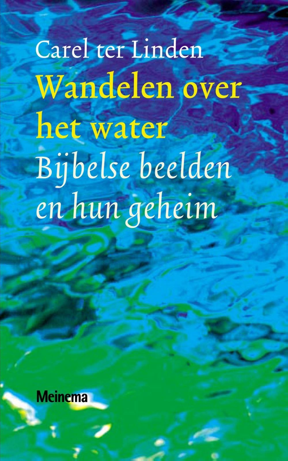 Big bigCover of Wandelen over het water