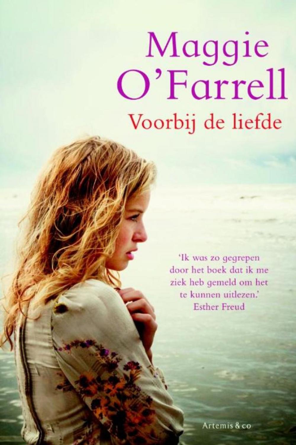 Big bigCover of Voorbij de liefde