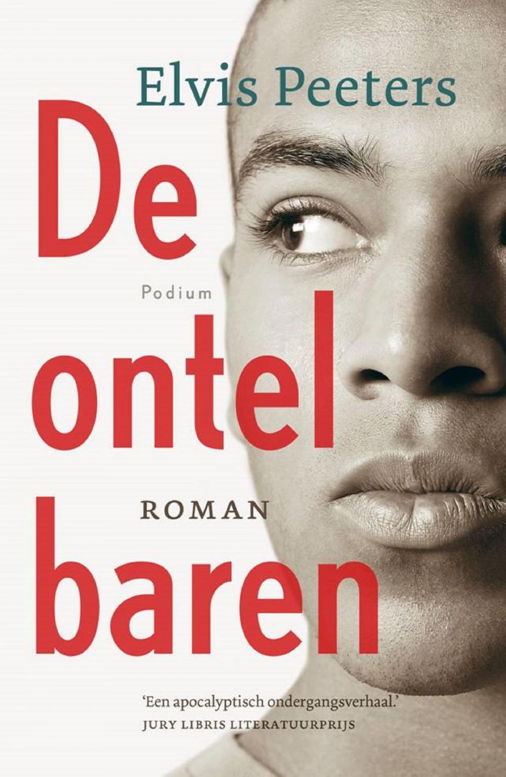 Big bigCover of De ontelbaren