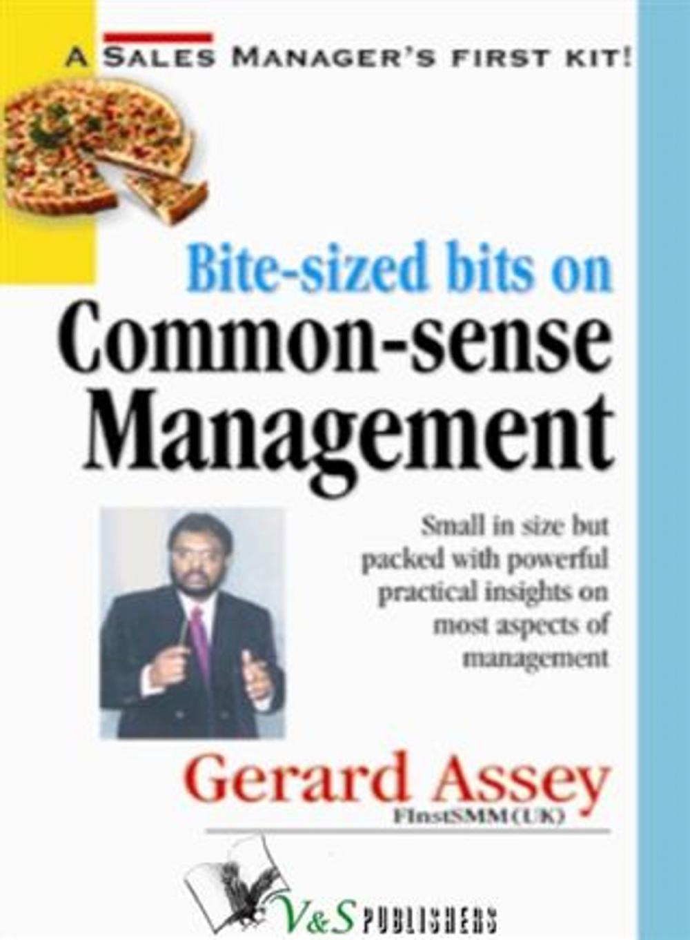Big bigCover of Bite-sized bits on Common Sense Management