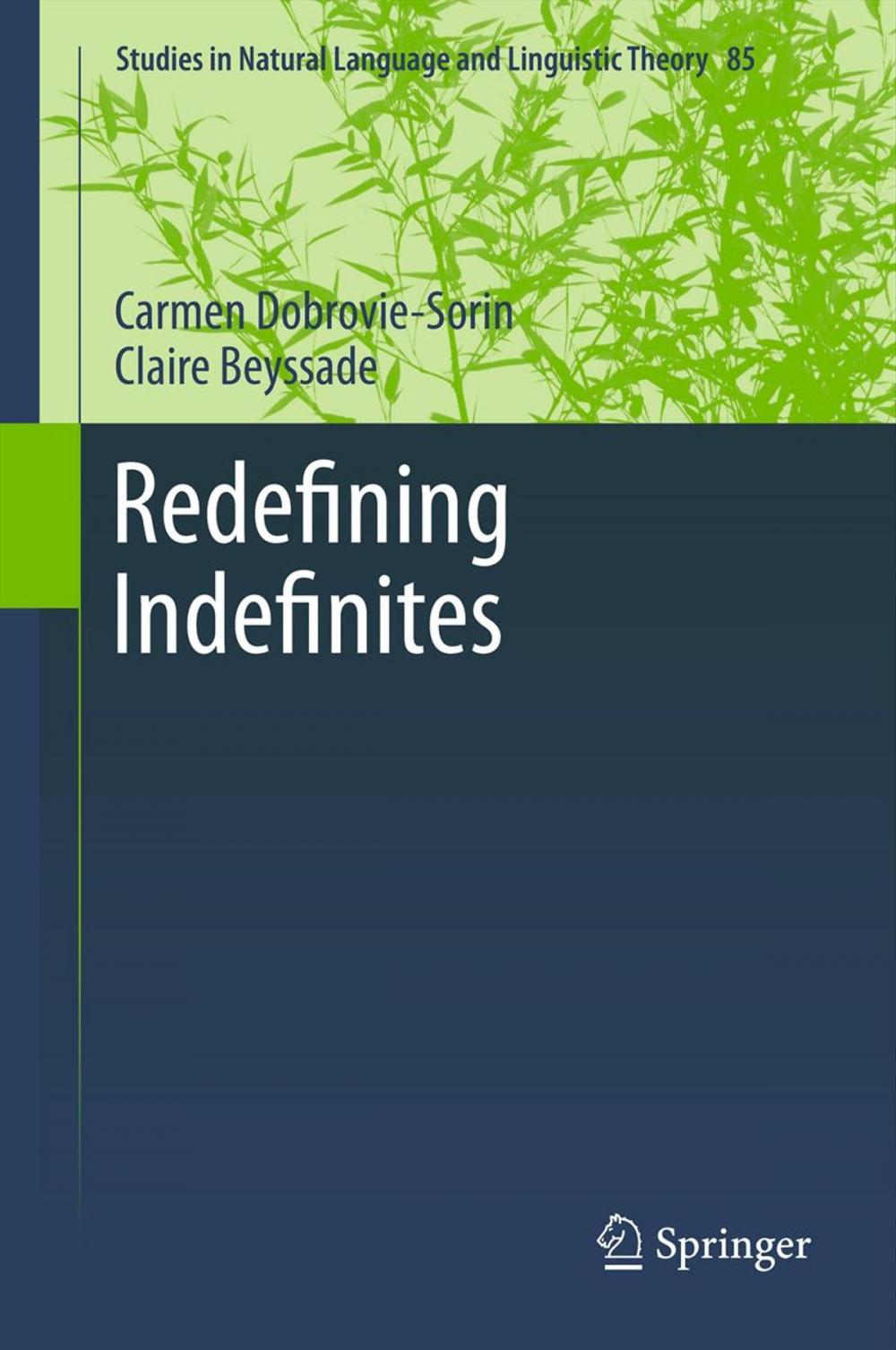 Big bigCover of Redefining Indefinites