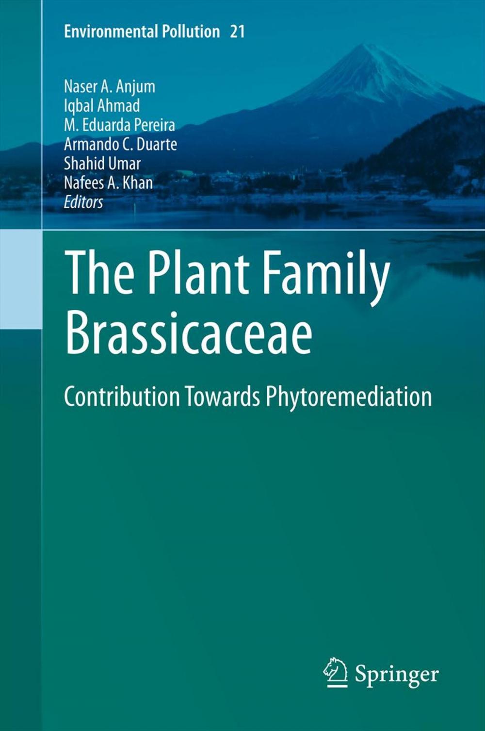 Big bigCover of The Plant Family Brassicaceae