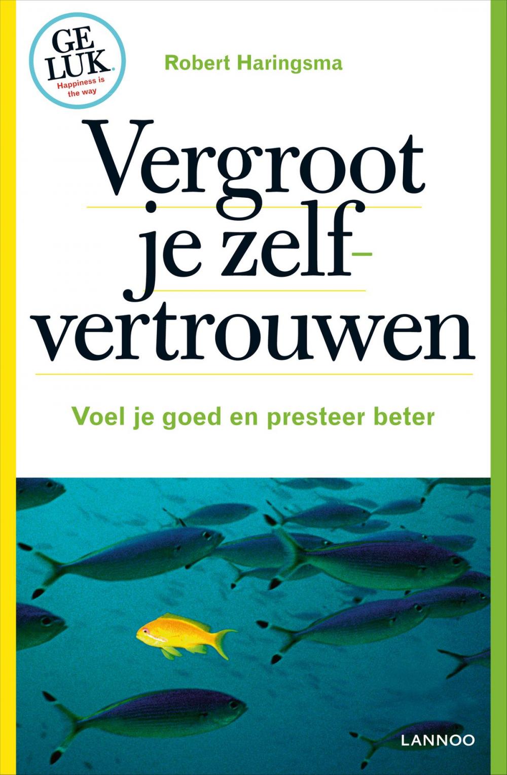 Big bigCover of Vergroot je zelfvertrouwen