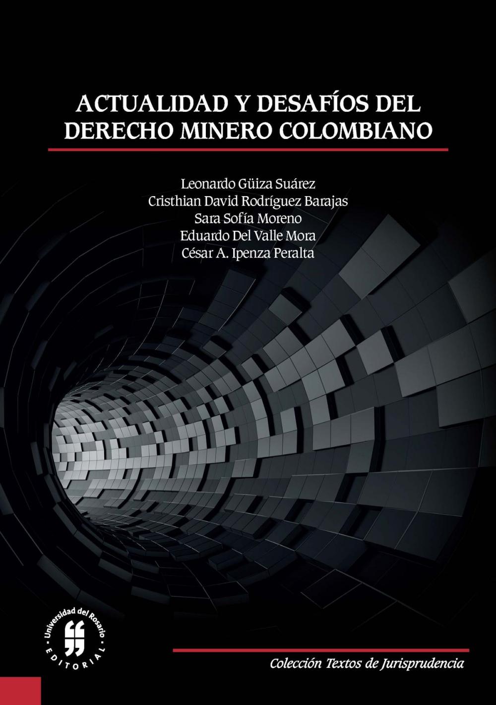 Big bigCover of Actualidad y desafíos del derecho minero colombiano