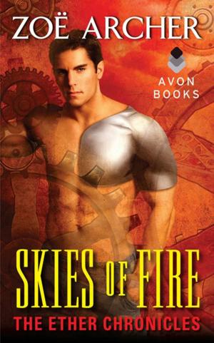 Book cover of Skies of Fire