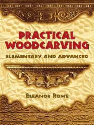 Cover of the book Practical Woodcarving by José Rizal