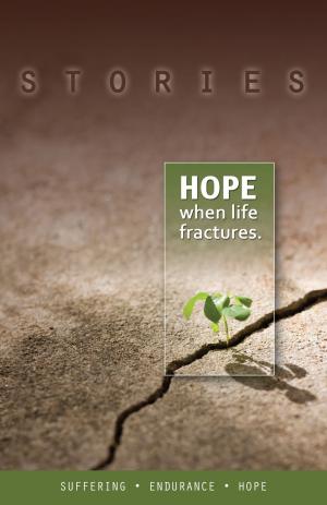 Cover of the book Stories, Hope When Life Fractures by Joe Lugo