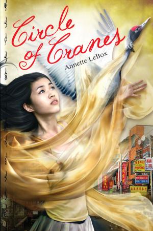 Cover of the book Circle of Cranes by Andrew Smith