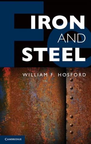 Cover of the book Iron and Steel by Matthew E. Cross, Emma V. E. Plunkett