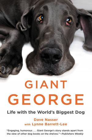 Book cover of Giant George