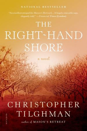 Cover of the book The Right-Hand Shore by Richard Powers
