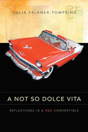 Cover of the book A Not so Dolce Vita by Catherine Prince