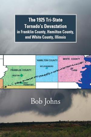 Cover of the book The 1925 Tri-State Tornado’S Devastation in Franklin County, Hamilton County, and White County, Illinois by Patti King