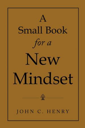 Cover of the book A Small Book for a New Mindset by David Allen Goodwin