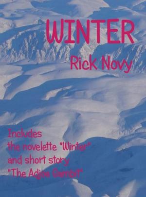 Book cover of Winter