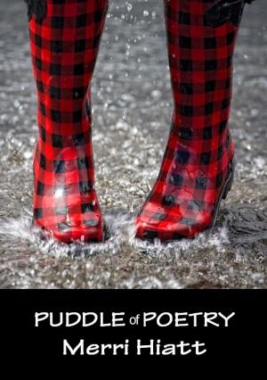 Cover of the book Puddle of Poetry by Robert Reaume, Phil Hollander, Harvey Silver