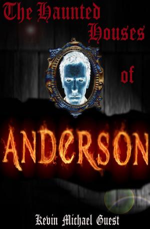 bigCover of the book The Haunted Houses of Anderson by 
