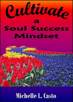 bigCover of the book Cultivate a Soul Success Mindset by 