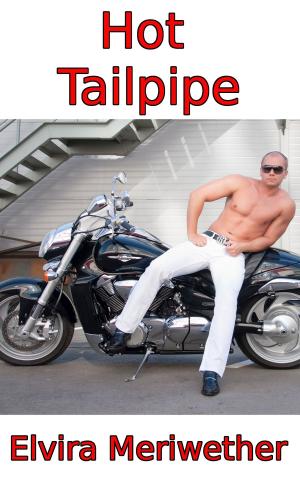 bigCover of the book Hot Tailpipe by 