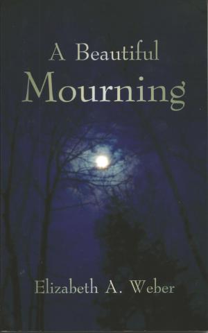 Cover of the book A Beautiful Mourning by David Avoura King