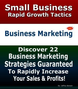 Cover of Business Marketing Strategies | Rapid Business And Marketing Growth Strategies