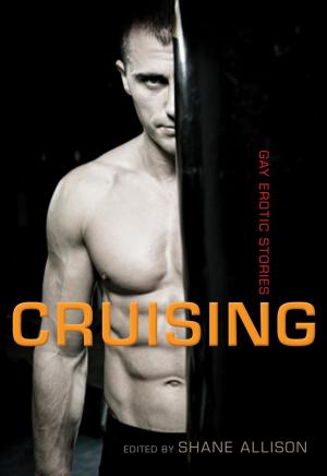 bigCover of the book Cruising by 