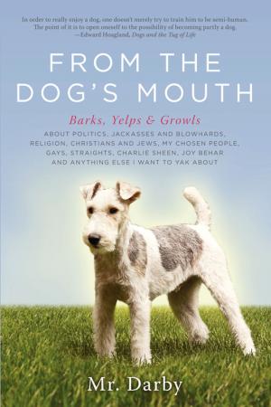 Cover of the book From the Dog's Mouth by David Dalby