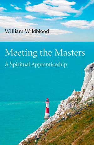Cover of the book Meeting the Masters by Bernard J. Lynch