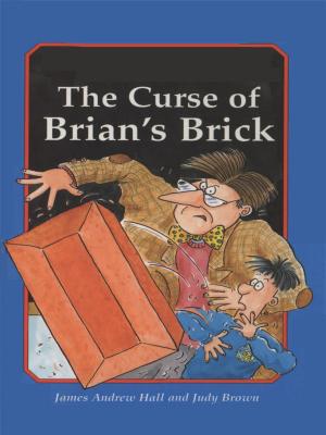 Book cover of The Curse of Brian's Brick