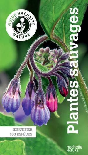 Cover of the book Le guide Hachette Nature des Plantes Sauvages by Karen CHEVALIER