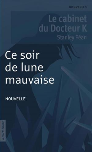 Book cover of Ce soir de lune mauvaise
