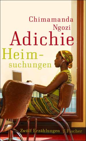 Cover of the book Heimsuchungen by Sandra Lüpkes