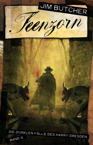 Book cover of Feenzorn