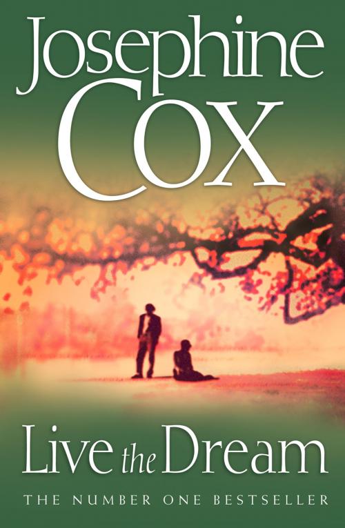 Cover of the book Live the Dream by Josephine Cox, HarperCollins Publishers