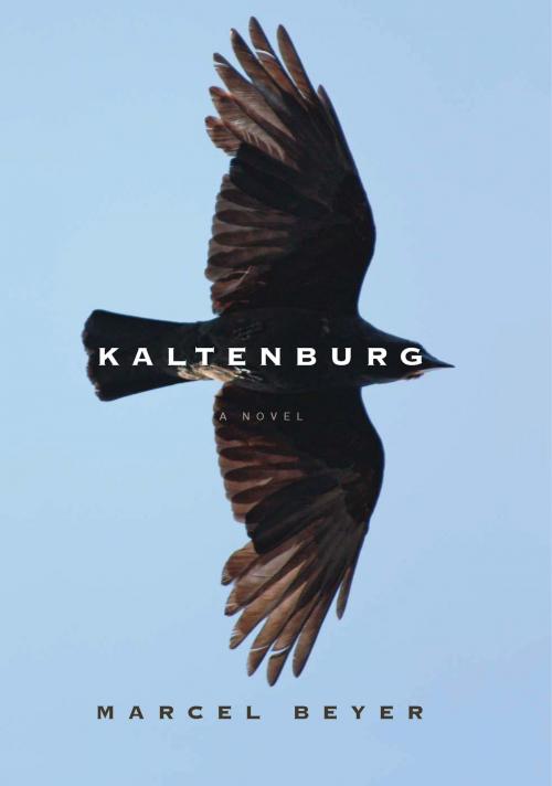 Cover of the book Kaltenburg by Marcel Beyer, HMH Books